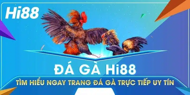 Loại hình đá gà Hi88 dễ dàng chinh phục sư kê